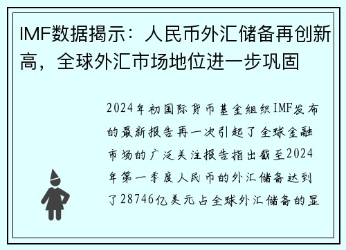 IMF数据揭示：人民币外汇储备再创新高，全球外汇市场地位进一步巩固